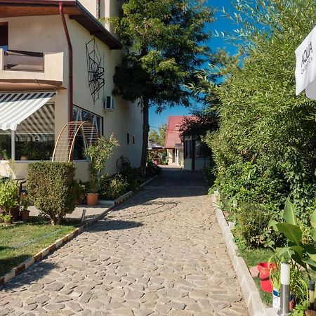 Pension Motanul Galanton Snagov Dış mekan fotoğraf