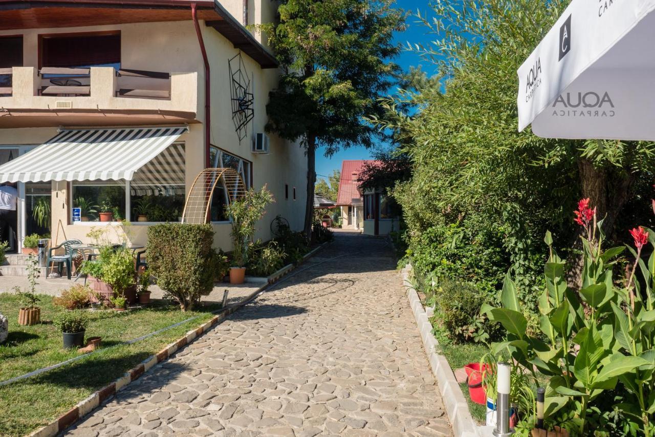Pension Motanul Galanton Snagov Dış mekan fotoğraf