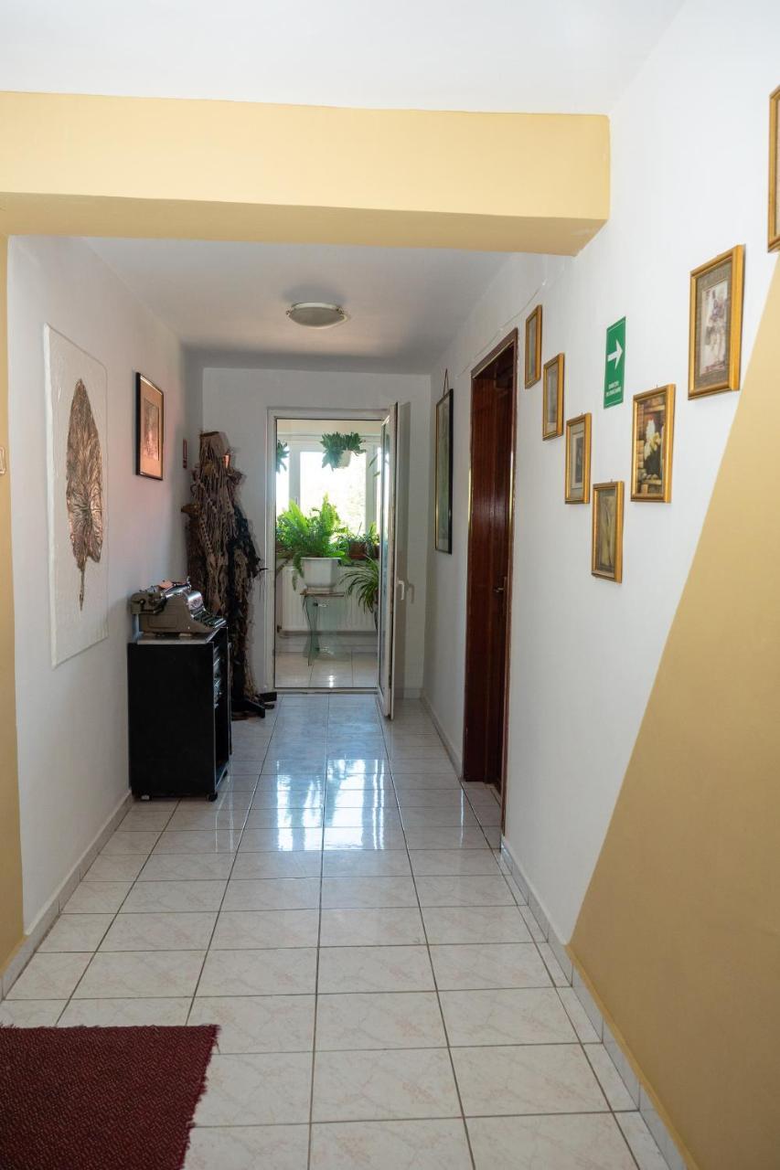 Pension Motanul Galanton Snagov Dış mekan fotoğraf